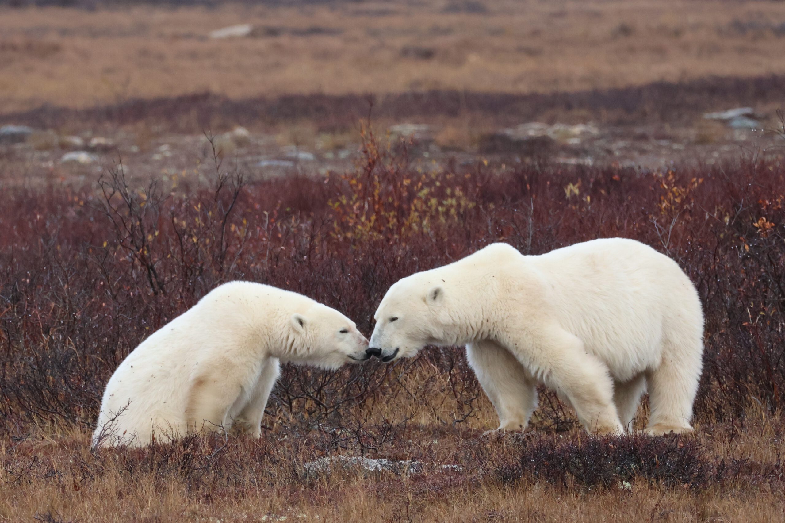 メインビジュアル2