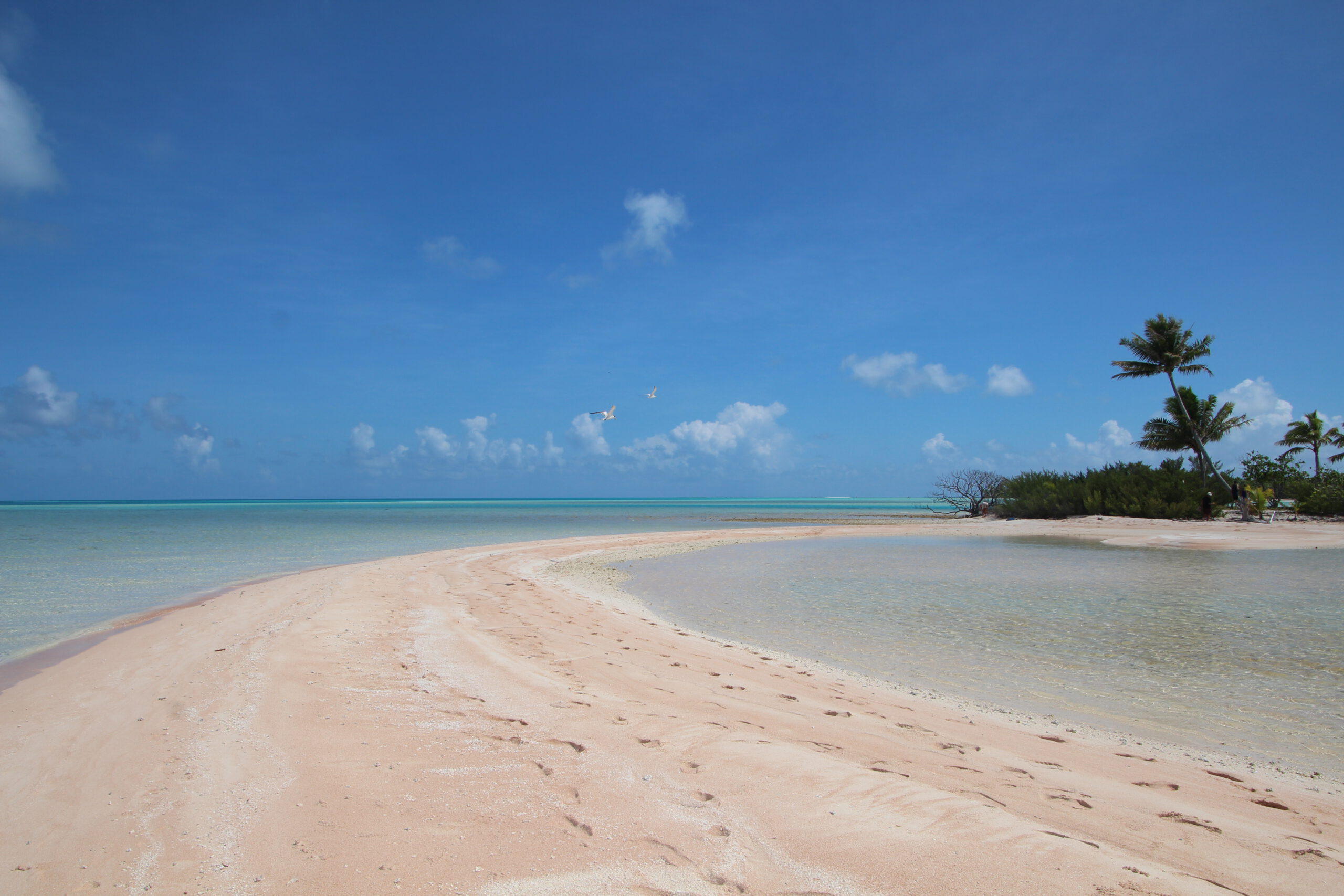 メインビジュアル4