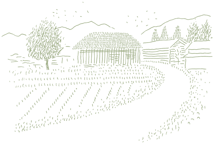 仙太郎の田舎風景(回想)