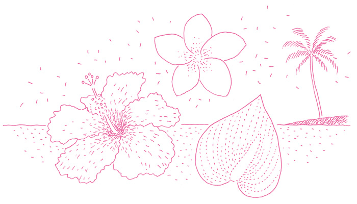 ハワイの花