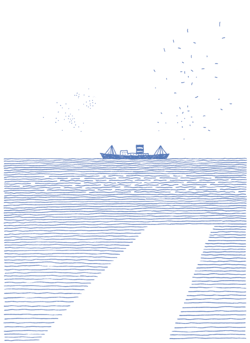 太平洋に浮かぶ旅客船