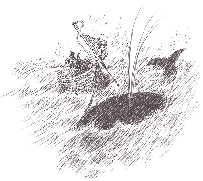 クジラを仕留める瞬間